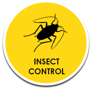 Buzz Bees Insect Control