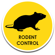 Buzz Bees Rodent Control